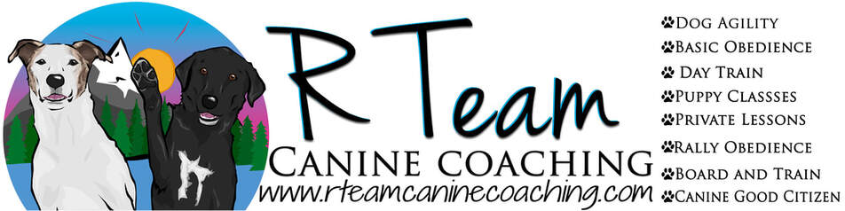 RTeamCanine Coaching